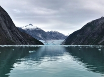 Tracy Arm Fjord Alaska 