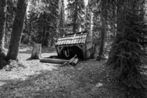 Trail shelter falling apart on the Sand Lake trail in Washington State