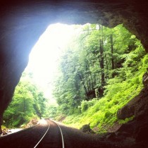 Train Tracks leading out of the Natural Tunnel  x