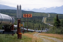 Trans-Alaska Oil Pipeline near Delta Junction 