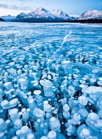 Trapped bubbles in a frozen mountain lake Canadian Rockies Emmanuel Coupe-Kalomiris 