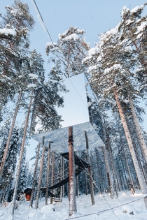 Tree Hotel in Northern Sweden 