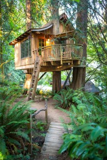 Tree House Point in Issaquah WA built by Nelson Treehouse and Supply 