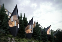 Tree Houses in dolomites Italy  Peter Pichler Architecture 