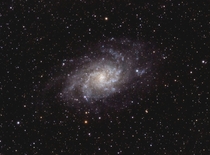 Triangulum Galaxy from my Driveway  