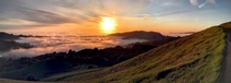 Tried for sunset over the Pacific got sunset over the fog instead Not disappointed Russian Ridge CA    