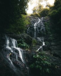 Tristana Falls in the Dorrigo National Park Australia 