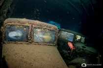 Trucks in the hold of the SS Thistlegorm sunk near Ras Muhammad Egypt in   Photo by Nadya Kulagina