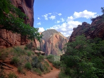 trusty iPhone at Zions National Park Utah 
