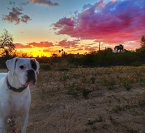 Tucson AZ with my pup RIP Milo