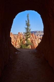 Tunnel Vision Bryce Canyon 
