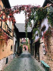 Turckheim Alsace France 