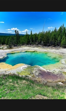 Turquoise Pool in Yellowstone National Park WY 