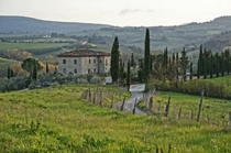 Tuscan Countryside 