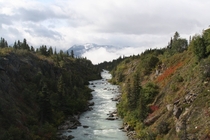 Tutshi River Yukon Territory Canada 