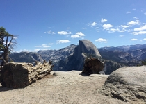 Two logs on the top of Glacier Point overlooking Yosemite Valley 