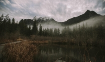 Typical Gloomy Cascades WA 