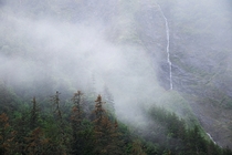 Typical rainy day scenery near Valdez AK 