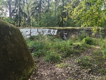 Ugly WW bunker in the middle of Swedish woods