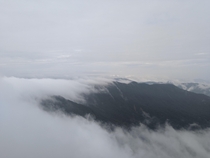 Uncovering fog blankets Mandalpatti peak Western Ghats India 