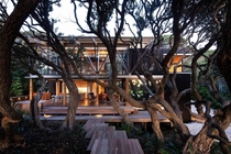 under pohutukawa herbst architects New Zealand