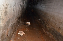 Underground tunnel in abandoned insane asylum