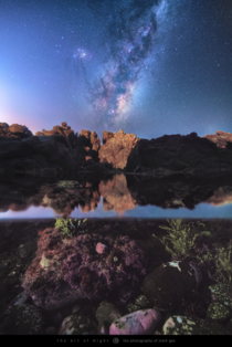 Underwater Rock Pool and Milky Way Wellington New Zealand 