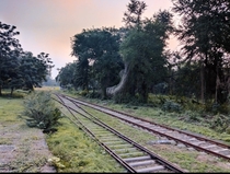 Unused army railway train tracks