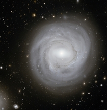 Unusual spiral NGC  in the Coma Galaxy Cluster 