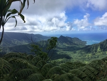 Up in the Koolau mountains OC 
