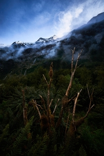 Up with the sun on the Milford Track in Fiordland New Zealand 