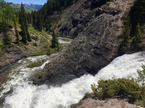 Upper East River near Crested Butte CO 