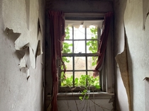 Upstairs window overgrown with vines