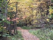 Upstate NY trail in the fall 