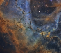 Using a  inch scope in the Atacama Desert I was able to get this insanely detailed view of the Rosette Nebula
