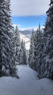Vail CO after a snow storm 