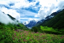 Valley of Flowers Uttarakhand India  