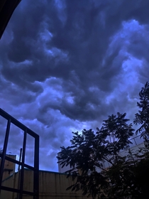 Van Gogh did well today On a windy evening in Chennai India 