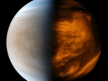 Venus in ultraviolet and thermal infrared processed using Akatsuki images taken in August 