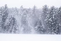 Vermont Snow Storm  x