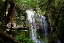 Very new to photography Russell Falls Mount Field National Park Tasmania  