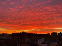 vibrant sunrise in Brooklyn