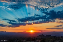 Vibrant Sunrise Sky In The Arizona Desert Near Phoenix  IG swvisionsnow