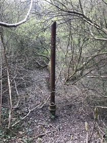 Victorian lamp post in the woods