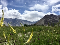 View across the Nubra Valley from our tent at the Nubra Ecolodge in Sumur in Jammu amp Kashmir 
