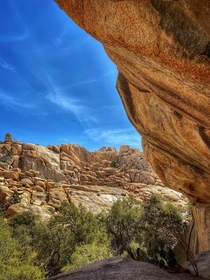 View from a cave in Joshua Tree CA 