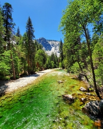 View from a midsummer hike along the Mist Falls Trail Kings Canyon National Park CA USA  x