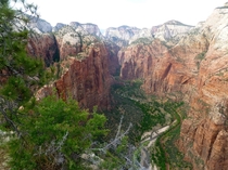 View from Angels landing Zion UT National park OC  X 