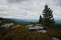 View from Bear Rocks Dolly Sods Wilderness West Virginia  x