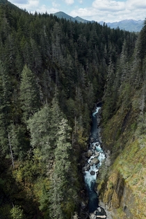 View from High Steel Bridge - Olympic National Park WA 